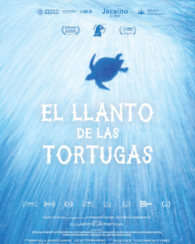 EL LLANTO DE LAS TORTUGAS