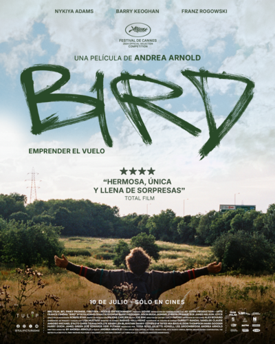 BIRD