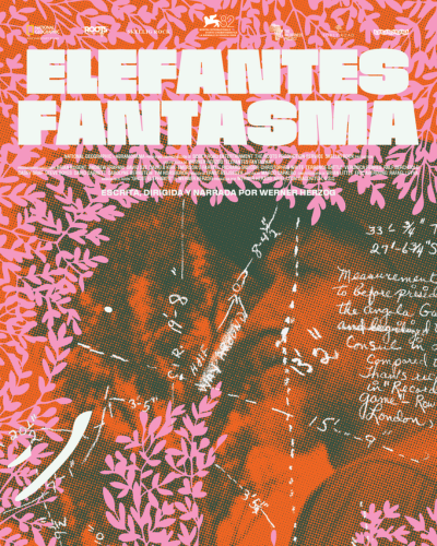 ELEFANTES FANTASMA