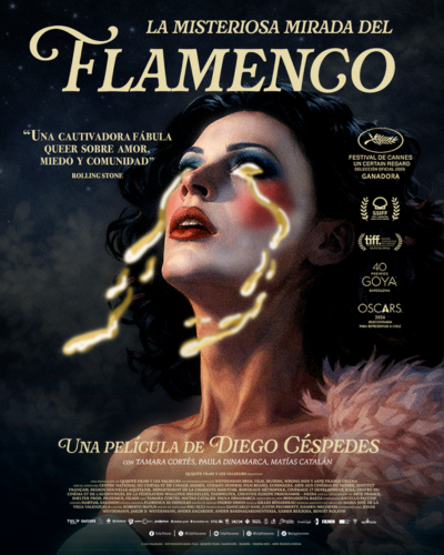 LA MISTERIOSA MIRADA DEL FLAMENCO