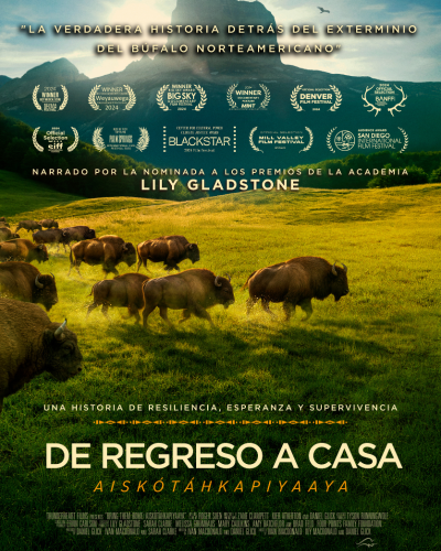 DE REGRESO A CASA